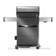 Napoleon Rogue® PRO-S 425 RSIB SIZZLE ZONE™ grill a gas a 5 fuochi con 1 posteriore