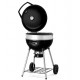 Napoleon Holzkohlegrill PRO22