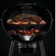 Napoleon Holzkohlegrill PRO22