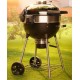 Napoleon Holzkohlegrill PRO22